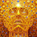 Avatar gebruiker