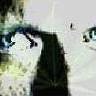 Avatar gebruiker