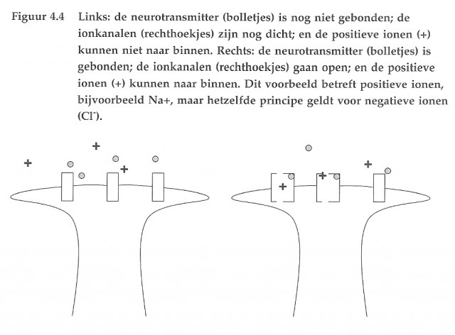 scannen0003.jpg