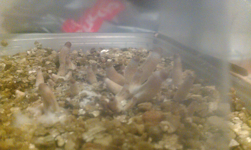 IMAG0127_klein.jpg