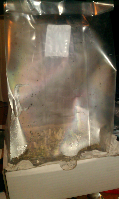 IMAG0133_klein.jpg