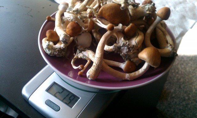 IMAG0472.jpg