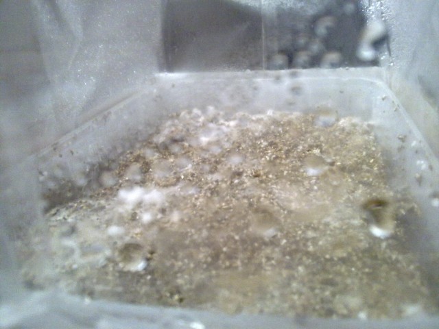 07062011094.jpg
