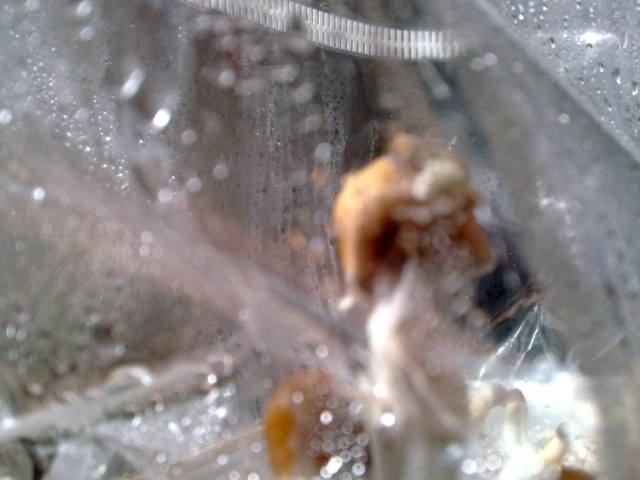 17062011117.jpg