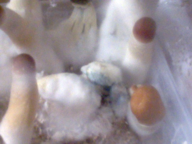 18062011136.jpg