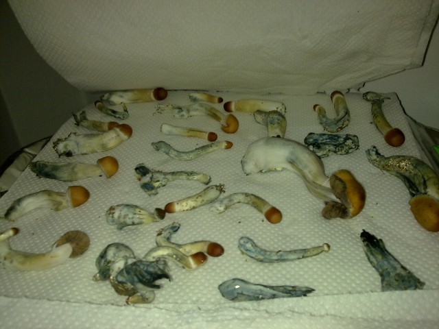 19062011149.jpg