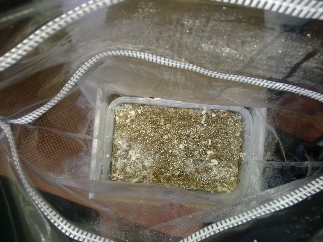 22062011158.jpg