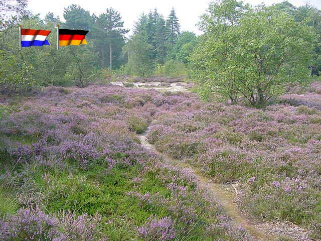 magische plek.jpg
