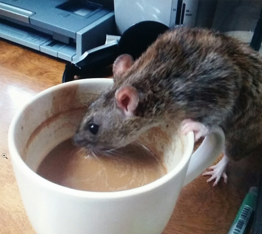 20160415_131146.jpg