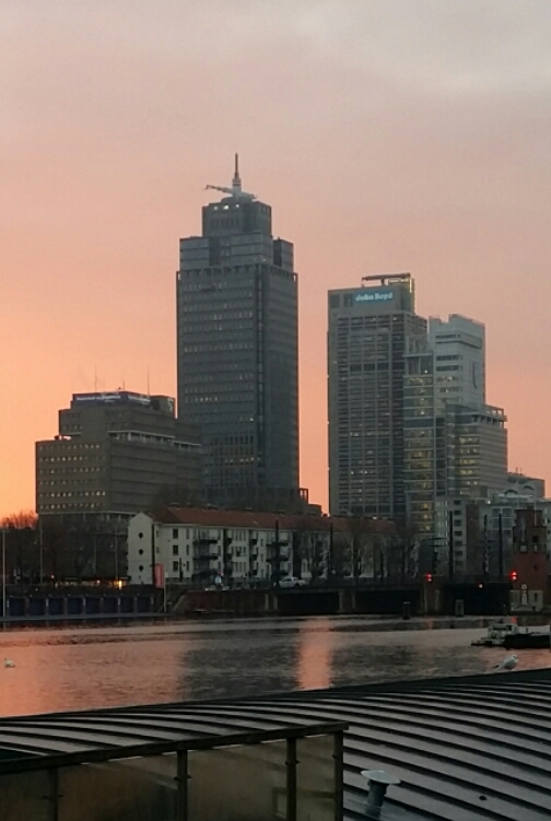 20161005_122038.jpg