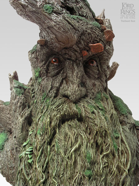 tree beard.jpg
